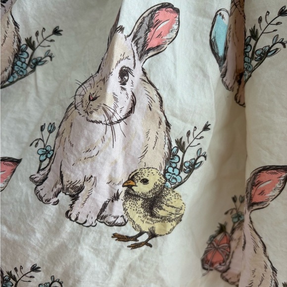 Pink Chicken Girls Gianna Skirt Bunny Friends Easter Size 14Y - Picture 4 of 12